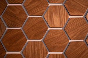 Art mural en bois de chêne en nid d’abeille / Art mural hexagonal 13 pcs